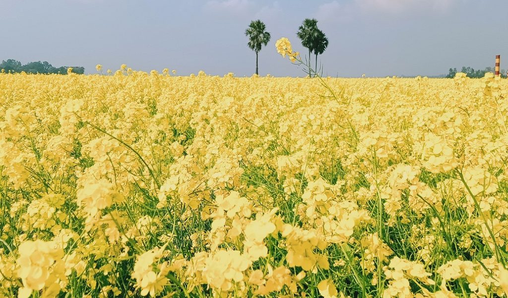 ঈ